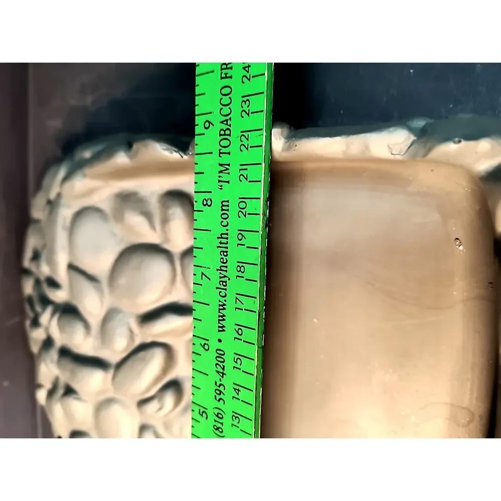 2090. Imagitarium Ramped Water Bowl Reptile Bath